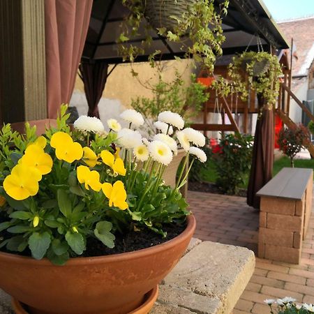 Korzo Apartman Kőszeg Extérieur photo