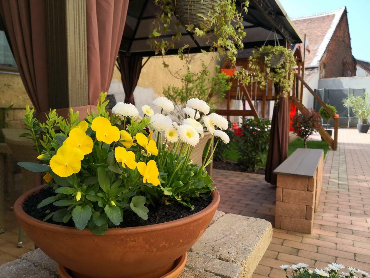 Korzo Apartman Kőszeg Extérieur photo